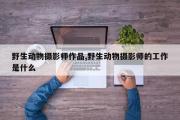 野生动物摄影师作品,野生动物摄影师的工作是什么