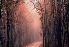 简单说明网购平台的购物流程图,网购平台的购物流程是什么